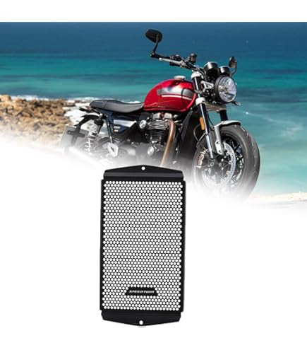 Amazon | ビートジャパン ラジエターガード(シルバー) ZRX1200 DAEG